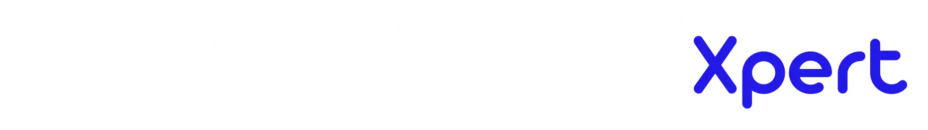 AnalyticsXpert Logo (White Version)