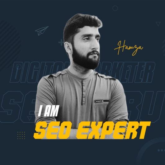 Ameer Hamza – A Top Rated SEO Expert in Pakistan