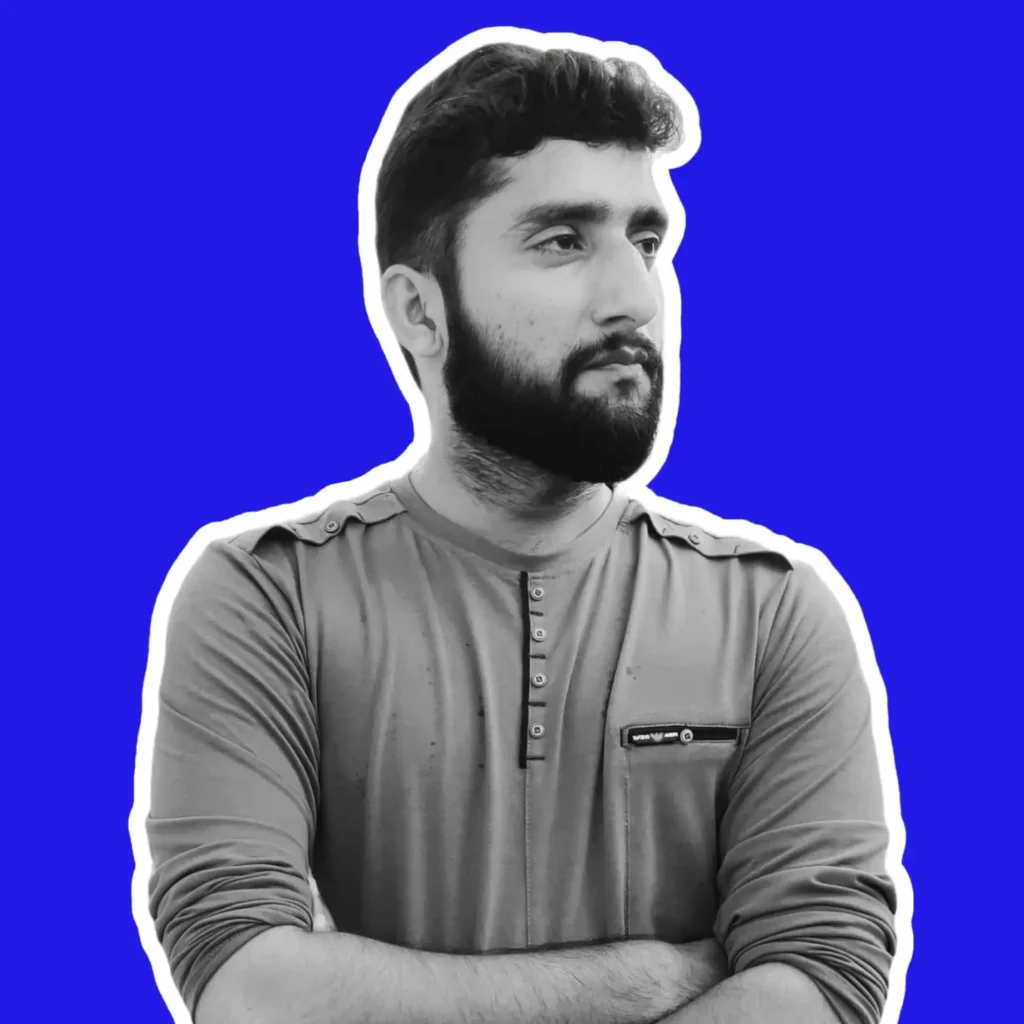Ameer Hamza (SEO Expert)